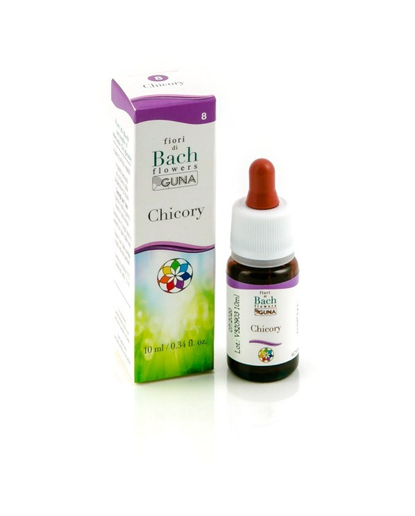 CHICORY GUN GTT 10ML